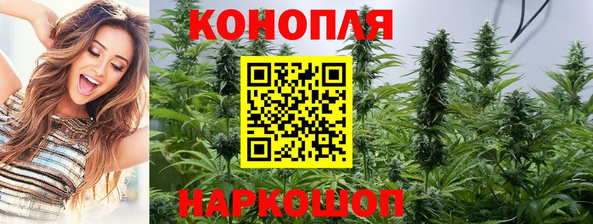 МАРИХУАНА семена  Вход с VPN  Заволжье  Бошки Шишки план 